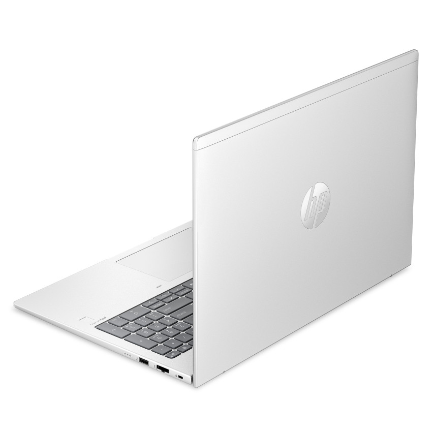 HP ProBook 460 G11 (silber)