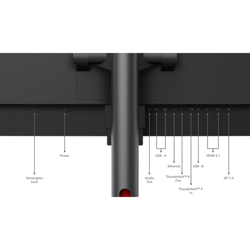 Lenovo ThinkVision P49w-30 124,46cm (49") Curved Docking-Monitor