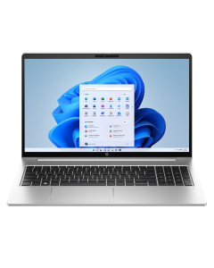 HP ProBook 455 G10 (silber)