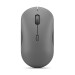 Lenovo 350 Bluetooth Silent Mouse (luna grey)