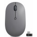Lenovo Campus Go Wireless Multi-Device Mouse (thunder black/storm grey)