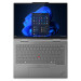 Lenovo ThinkPad® X1 2in1 G10 (grey)