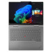 Lenovo ThinkPad® X1 2in1 G10 "Aura Edition" Sondermodell (grey)