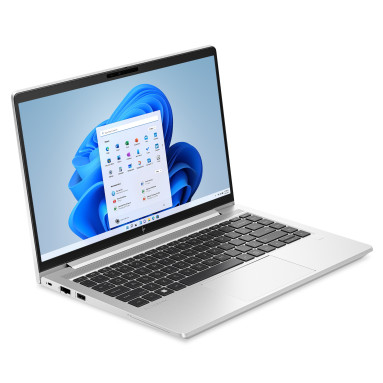HP EliteBook 645 G10 (Alu, silber)