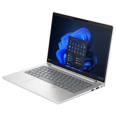 HP ProBook 445 G11 (silber)