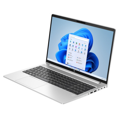 HP ProBook 455 G10 (silber)