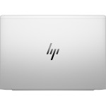HP EliteBook 665 G11 (silber)