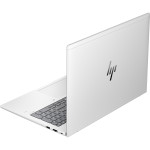 HP EliteBook 665 G11 (silber)