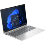 HP EliteBook 665 G11 (silber)