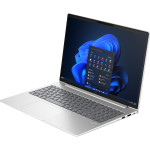 HP EliteBook 665 G11 (silber)