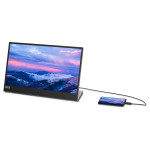 Lenovo L15 39,6 cm (15,6") Mobiler Monitor