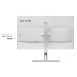 Lenovo L24m-4A 68.47cm (24") Docking-Monitor