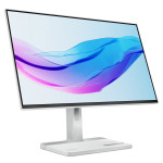 Lenovo L24m-4A 68.47cm (24") Docking-Monitor