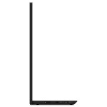 Lenovo ThinkVision M15 39,6 cm (15,6") Mobiler Monitor