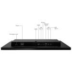 Lenovo ThinkVision T24m-20 60.47cm (23.8") Monitor