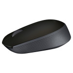 Logitech M171 Wireless Maus (schwarz)