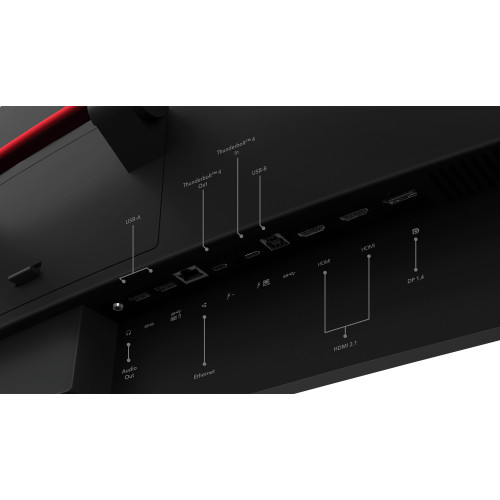 Lenovo ThinkVision P49w-30 124,46cm (49") Curved Docking-Monitor