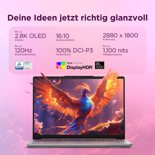 Lenovo Campus IdeaPad Pro 5-14AGP G11 Sondermodell (Alu, luna grey)