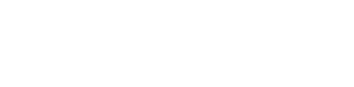 IdeaPad